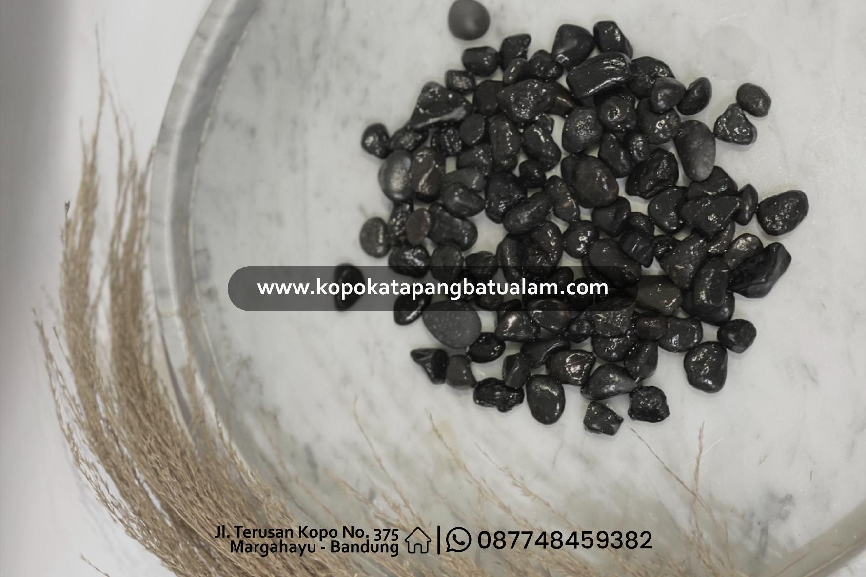 Ares Hitam