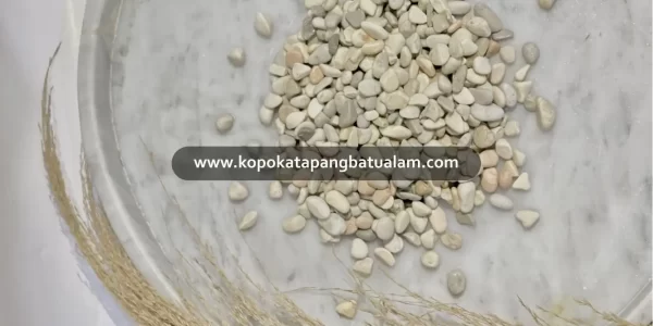 BATU KORAL ARES PUTIH