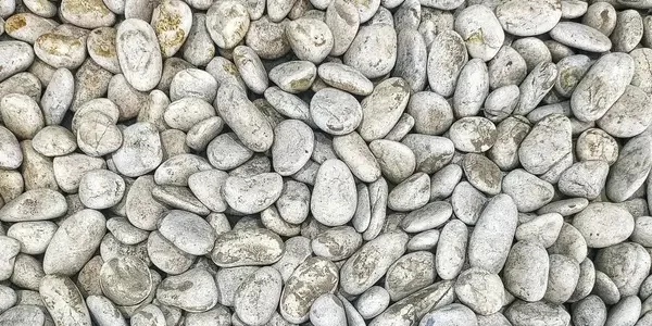 harga grosir batu koral terbaru