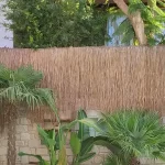 Serai Bali Untuk Dinding Kolam